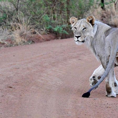 Tented Adventures Pilanesberg Buitenkant foto